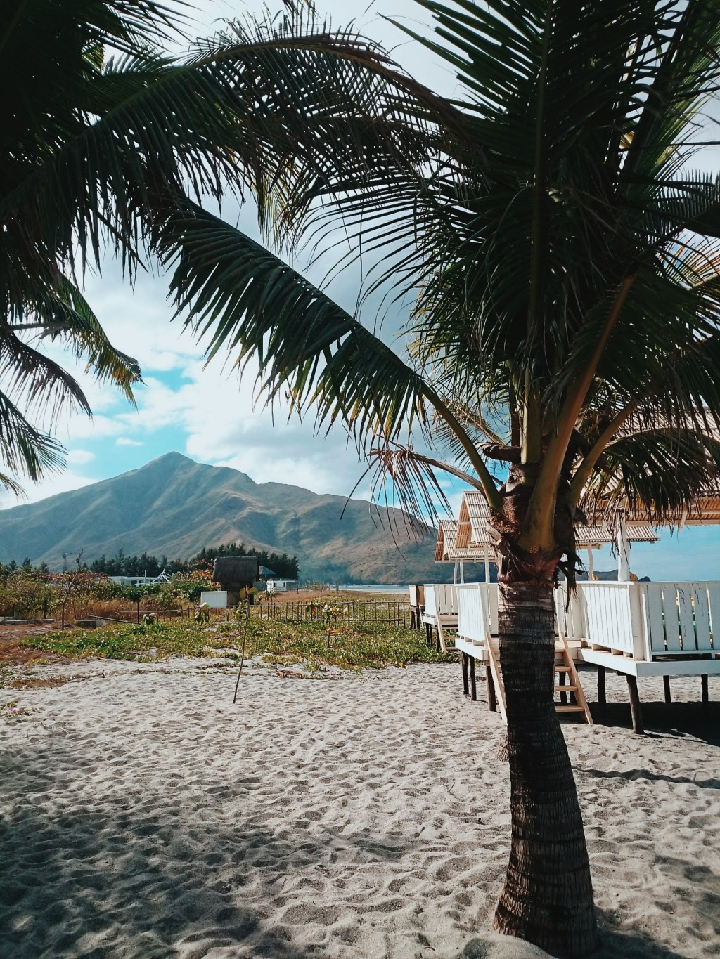 Summer In The&nbsp;Tropics